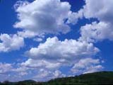 Organic Gases Help Cloud Formation