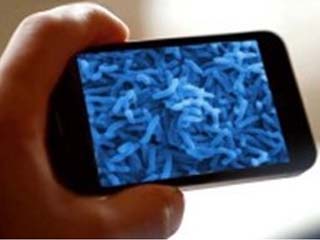 Using Viruses to Charge Your Phone