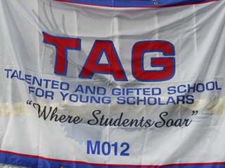 Tag Young Scholars