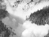 Colorado Avalanches, 5 Died